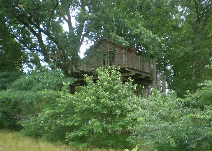 cabane perchée
