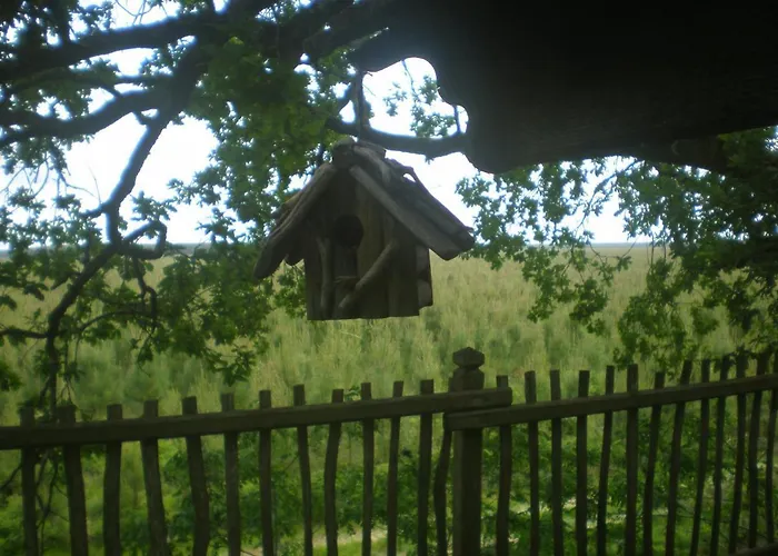 cabane perchée