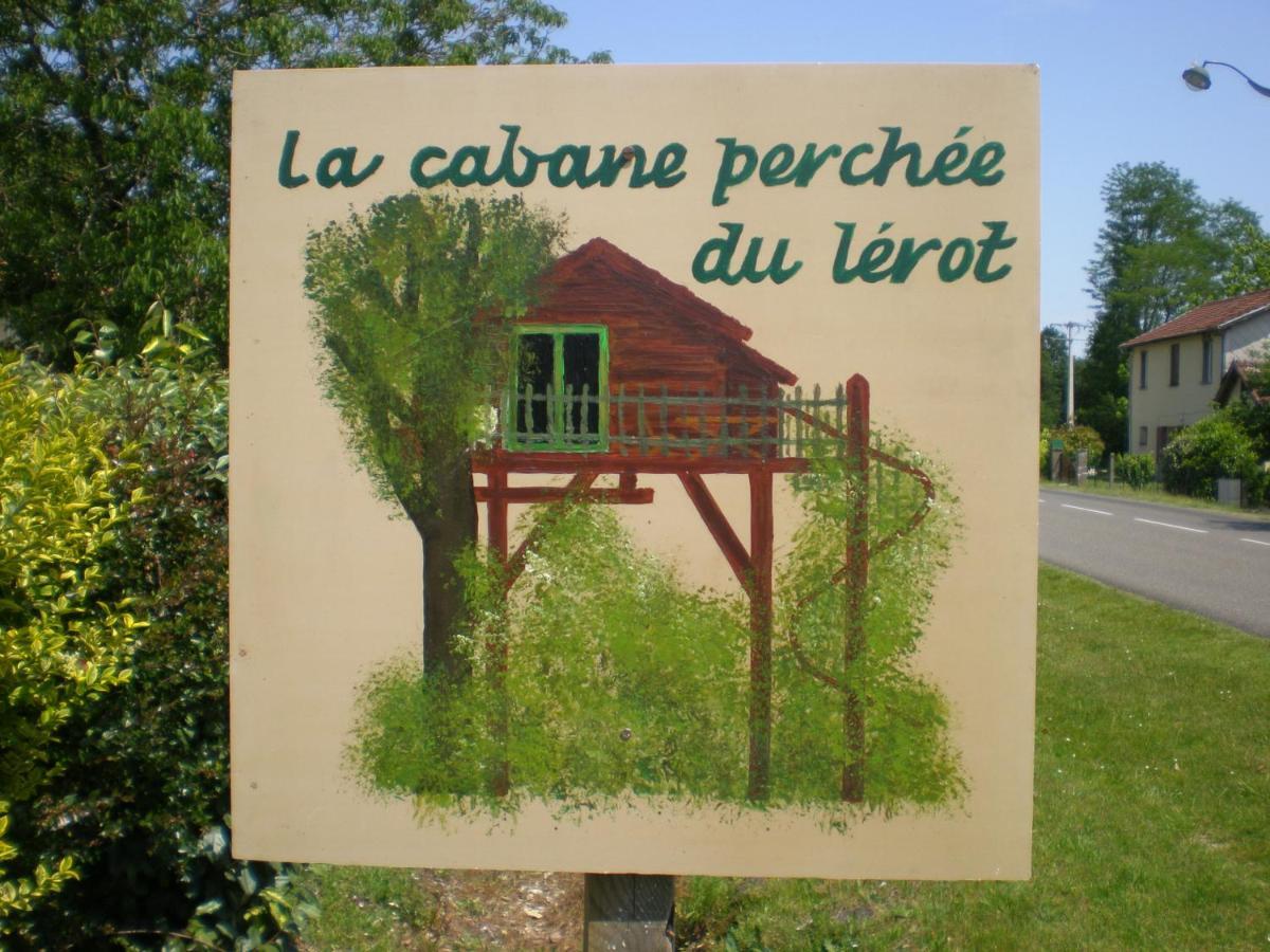 Perchée Solférino
